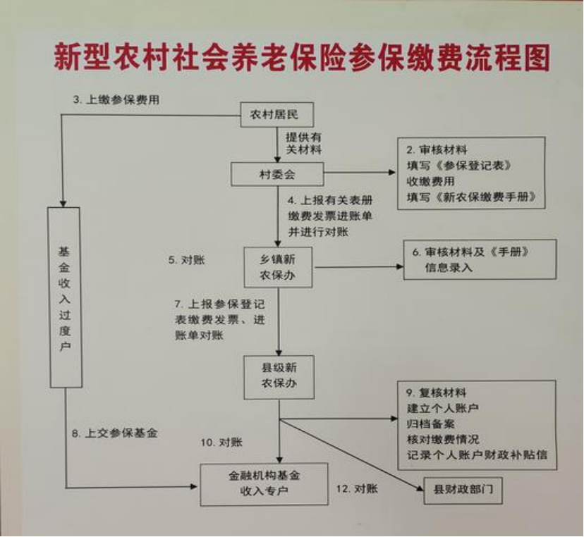 连云港农村医保和社保有什么区别(农村医保跟社保的区别)